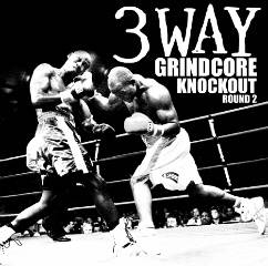 Endless Demise : 3 Way Grindcore Knockout Round 2